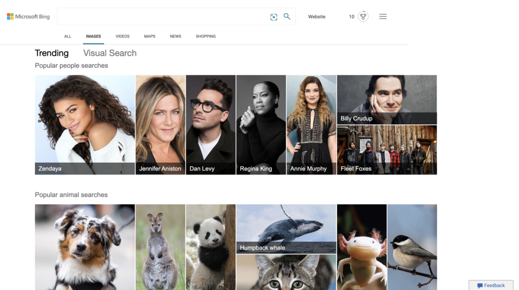 Microsoft Bing Image search
