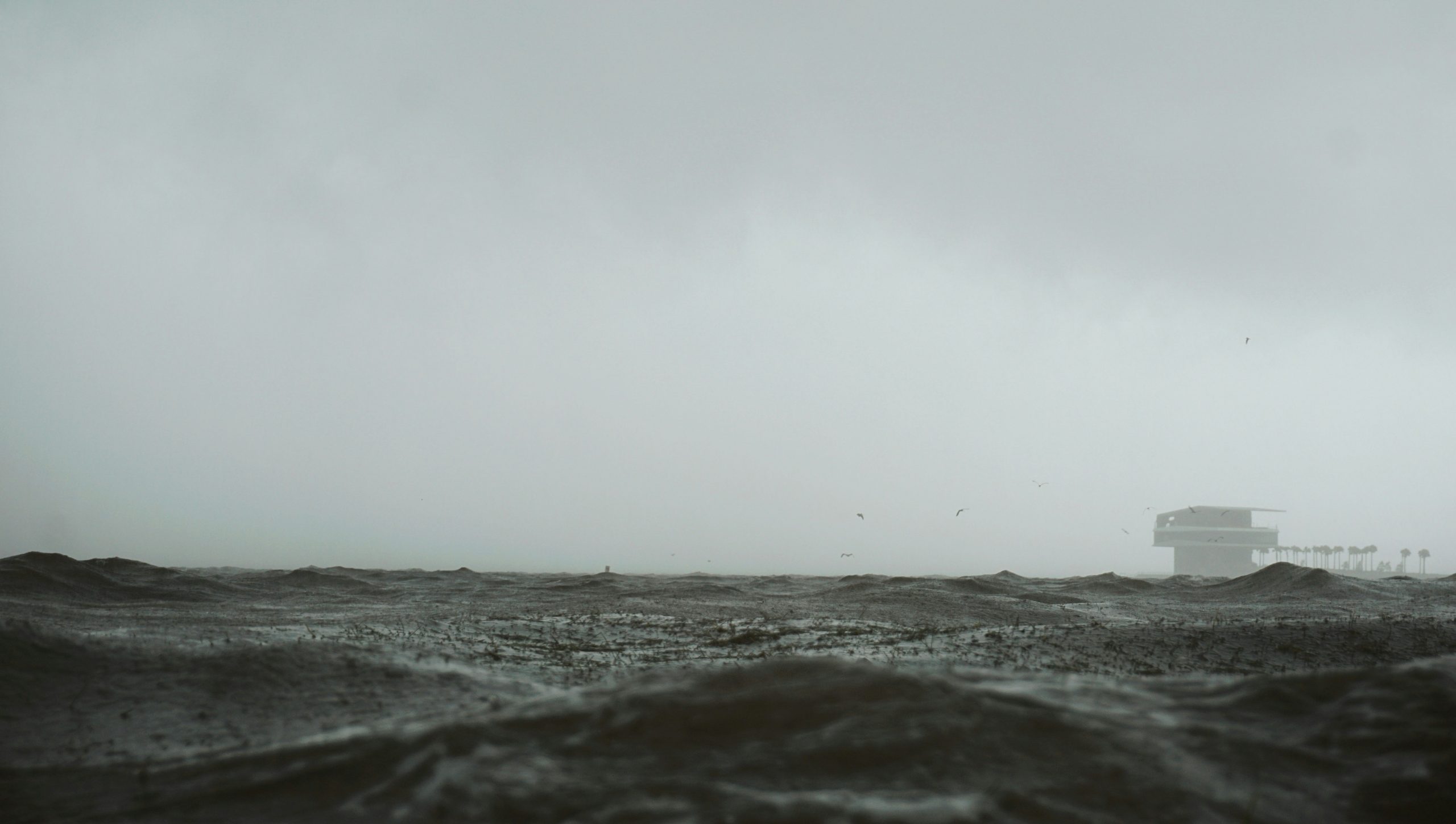 storm sea