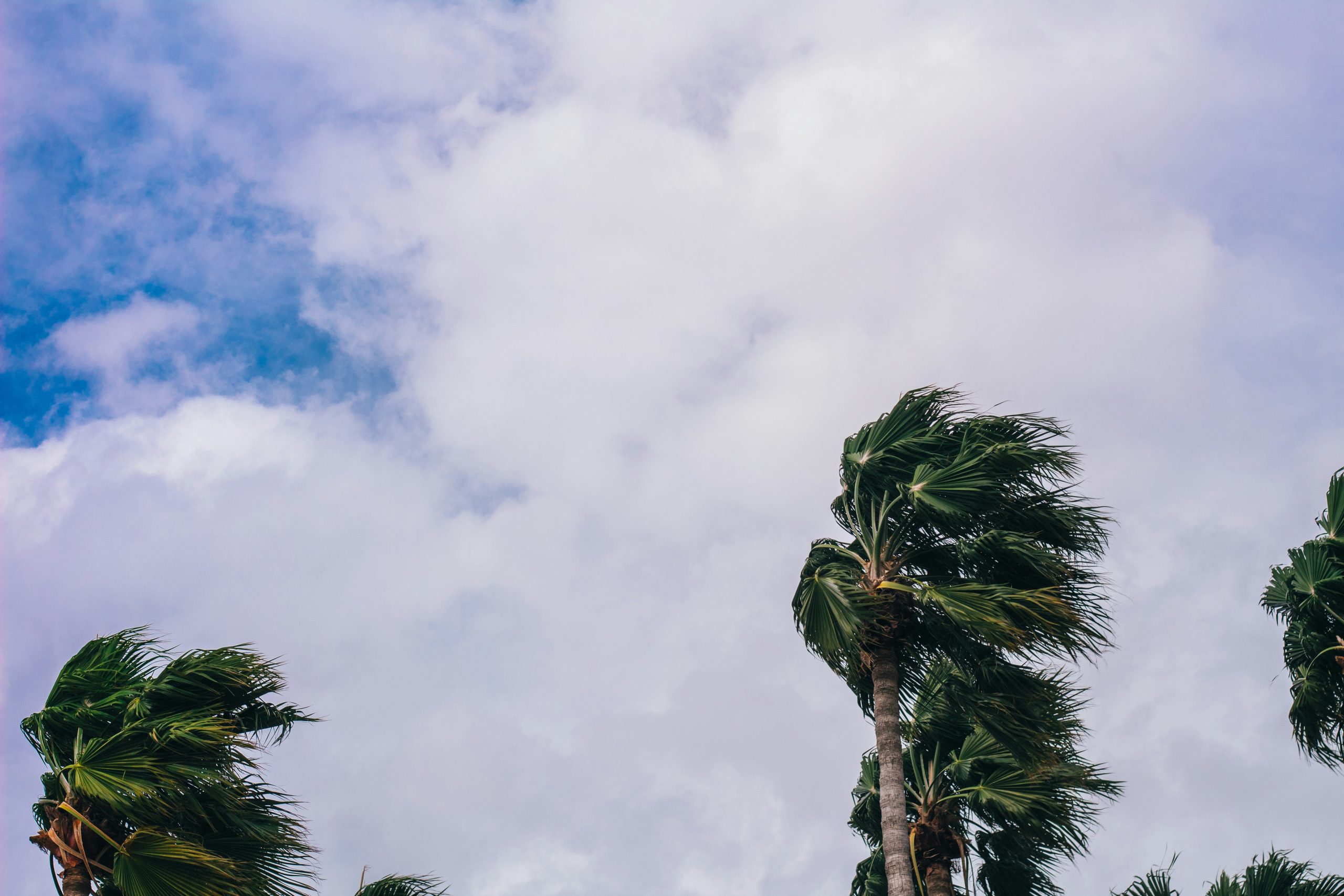 storm wind